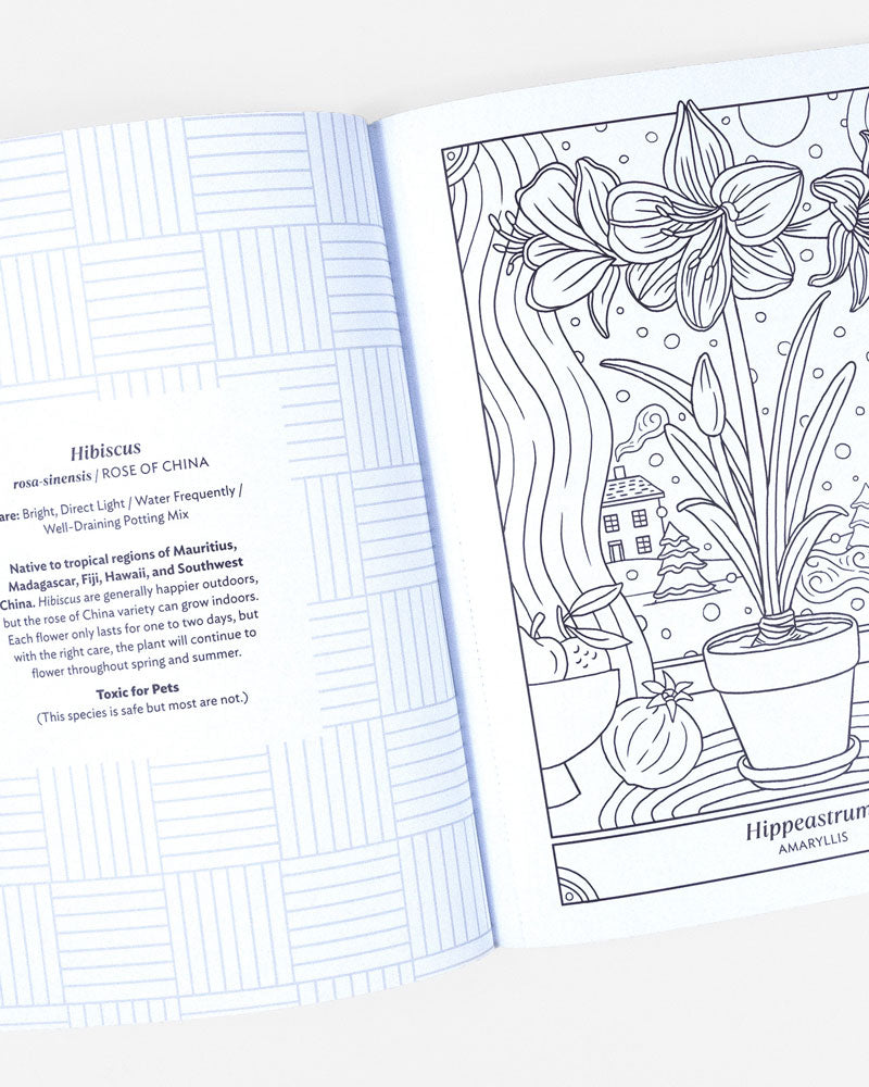 The Happy Houseplant Coloring Book