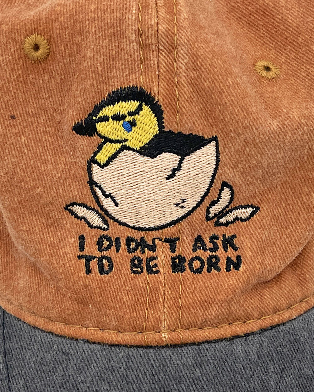 Didn't Ask To Be Born Two-Tone Dad Hat-Stay Home Club-Strange Ways