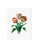 Googly Eyes Tulips Art Print (8" x 10")-Stay Home Club-Strange Ways