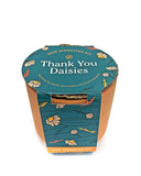 Thank You Daisies Grow Kit-Modern Sprout-Strange Ways