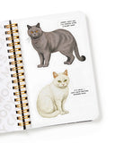 Moody Cats Sticker Book-Brass Monkey-Strange Ways