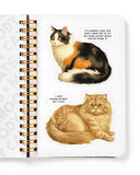 Moody Cats Sticker Book-Brass Monkey-Strange Ways