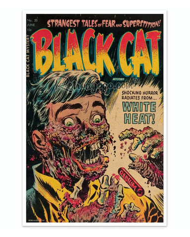 Black Cat Mystery Art Print (12" x 18")